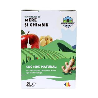 Suc natural mere și ghimbir 2L