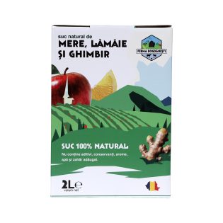Suc natural mere, lămâie și ghimbir 2L